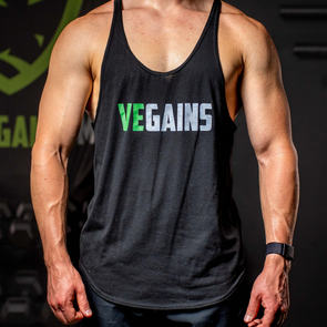 The VEGAINS Stringer Tank