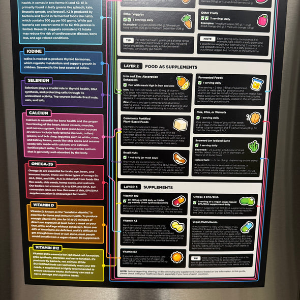 The 3 Layers of Nutritional Defense Magnet - Full Size